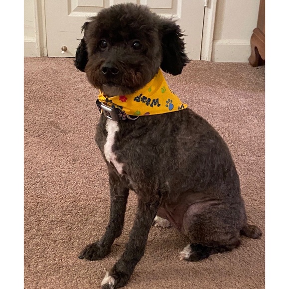 🚫EXPIRED🚫 FOLLOW GAME #15 - Picture 10 of 10